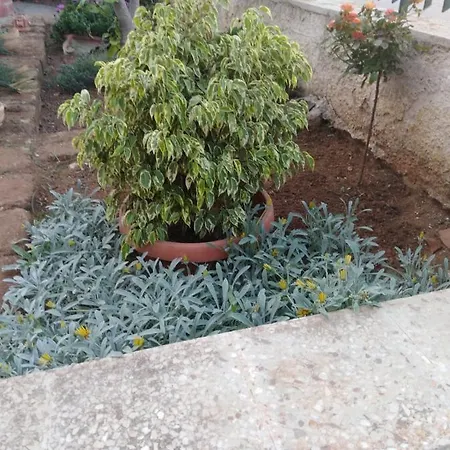 Margherita Mazara del Vallo